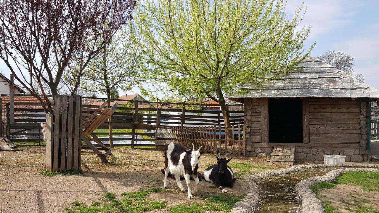 Ethno Village Stanisici Bijeljina Dış mekan fotoğraf