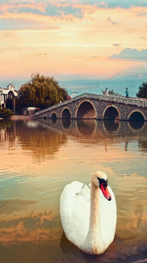 Ethno Village Stanisici Bijeljina Dış mekan fotoğraf