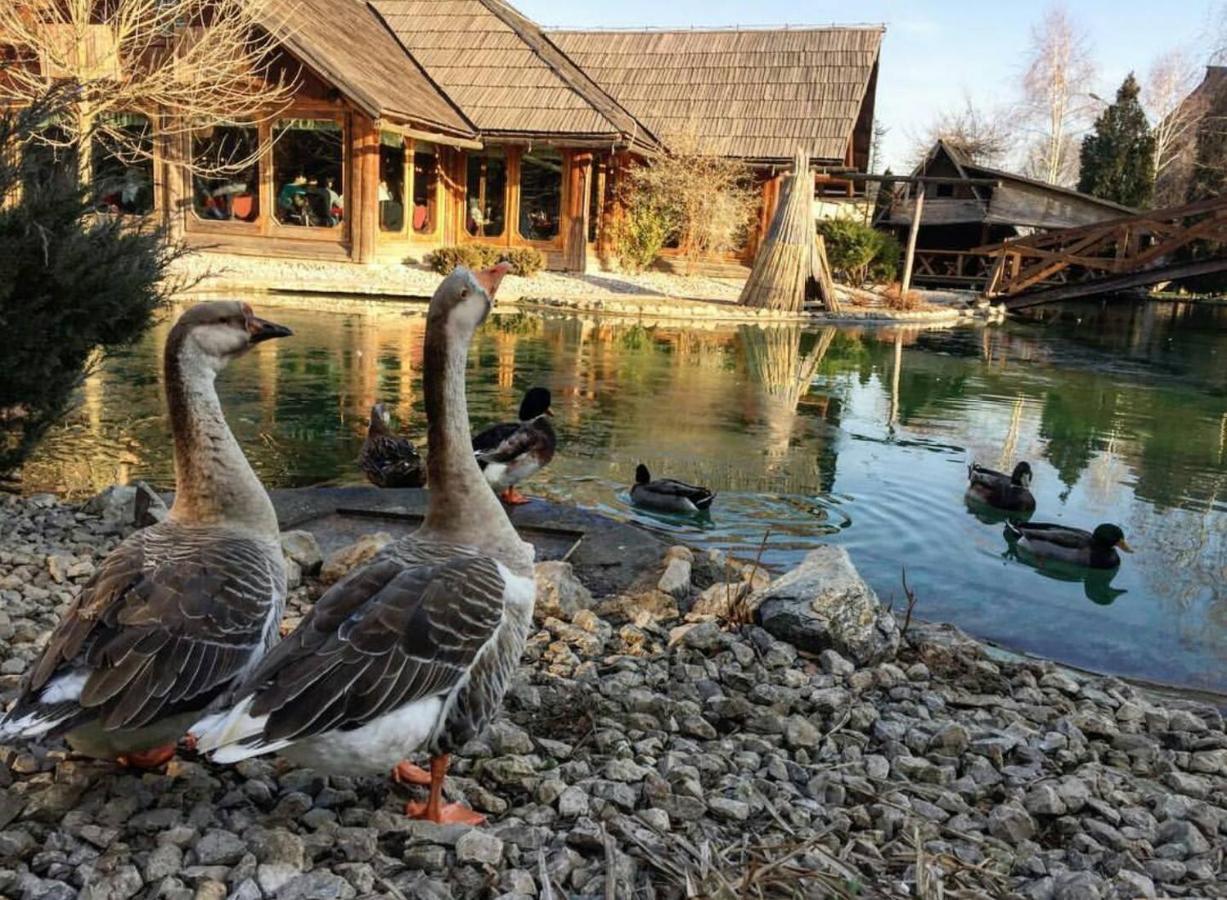 Ethno Village Stanisici Bijeljina Dış mekan fotoğraf